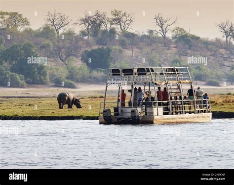 Chobe River cruise - people doing a boat safari to see wildlife, Chobe River, Chobe National ...