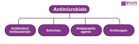 What are Antimicrobial Agents? - Definition, Types with Examples & Videos