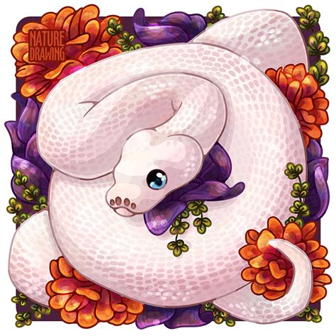 Ball python by Nature-Drawing on DeviantArt