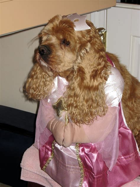 Buffy's Princess Halloween Costume - buffy-princess-costum… | Flickr