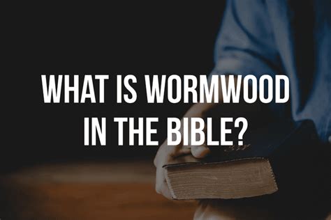 What Is Wordwood In The Bible? (5 Truths