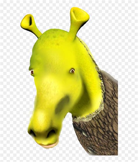 Donkey Shrek Head Png / Share the best gifs now >>>. - Frikilo Quesea