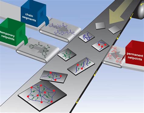 Recent Trends in Shape-Memory Polymers - Advanced Science News