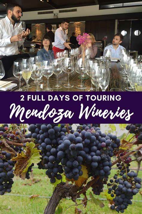 Mendoza Wine Tours: Exploring Argentina's Wine | One Girl, Whole World