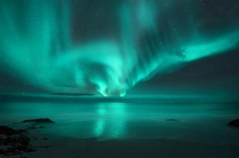 Premium Photo | Aurora borealis over the sea Northern lights in Lofoten islands Norway Starry ...