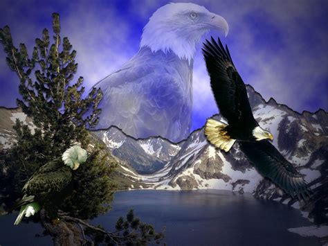 Eagle Screensavers and Wallpaper - WallpaperSafari