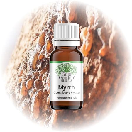 Myrrh (Commiphora myrrha) - Essential Oil - Gaia Garden Herbal Dispensary