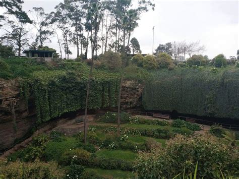 Umpherston Sinkhole - Cave Garden, Address & History, Mount Gambier