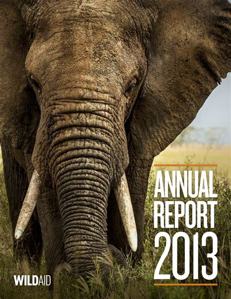 2013 Annual Report - WildAid