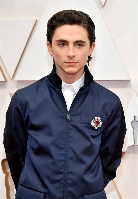 Timothee Chalamet's Wet Hairstyle at the Oscars 2020 | POPSUGAR Beauty