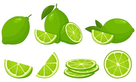 Limes fruit Vectors & Illustrations for Free Download | Freepik