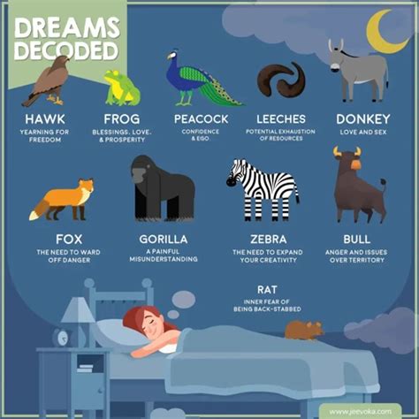 The Symbolism of Animals in Dreams and Their Hidden Meanings