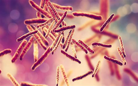 Study could explain tuberculosis bacteria paradox | CTBP