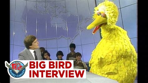 The day Big Bird talked about his life on Sesame Street and his movie "Follow that Bird", 1985 ...