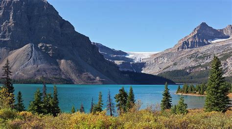 Bow Lake And Bow Glacier by Frank J Wicker