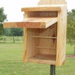 Chickadee Bird House Placement | Birdcage Design Ideas