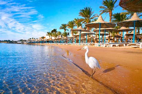 Hurghada Guide: What to See & Do, Tips | Egipto Exclusivo