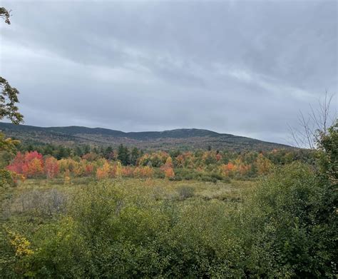 Monadnock yesterday—foliage seems to be a week ahead of schedule down ...