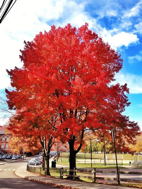 Best of New England Fall Foliage | Chow Down USA