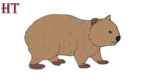 How to Draw a Wombat easy Step by Step - YouTube