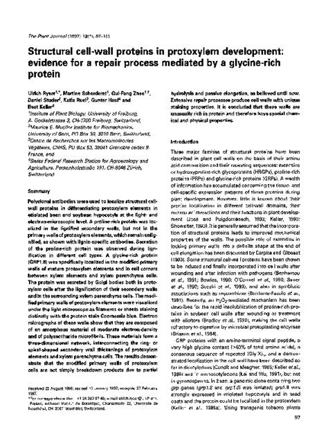 (PDF) Structural cell-wall proteins in protoxylem development: evidence for a repair process ...