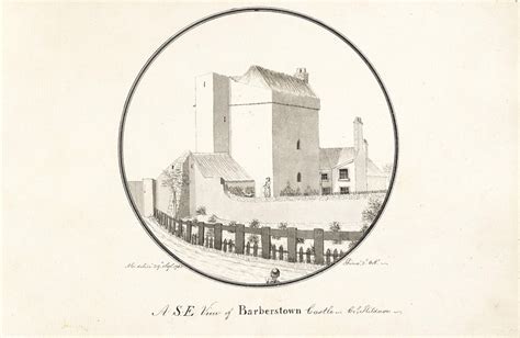 The Enchanting History of Barberstown Castle, Co. Kildare, Ireland - IrishHistory.com