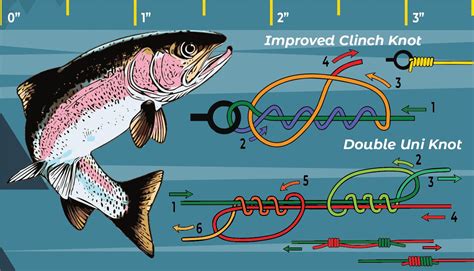 Clinch Knot - FishOnTips