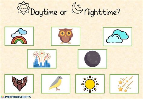 Daytime And Nighttime Activities Worksheets