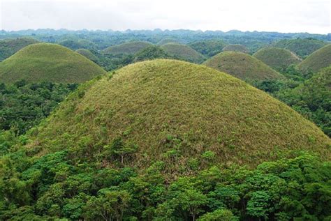 Nature's Eye: Chocolate Hills of Bohol in Philippines