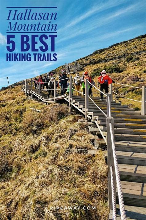 The Best Hallasan Mountain Hiking Trails - Pipeaway