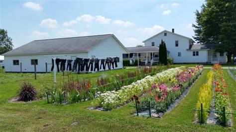 Explore Indiana Amish Country: A Perfect Weekend Itinerary