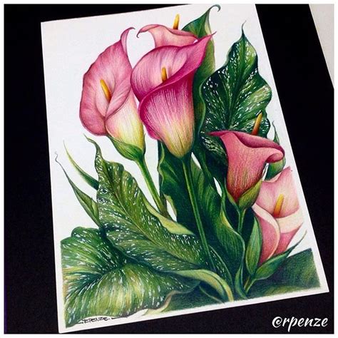 Create Stunning Artworks with Flower Pencil Colour Drawing - Click Here ...