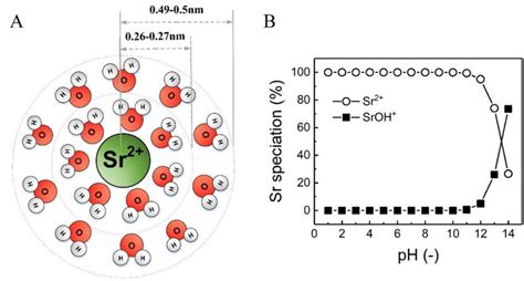 (A) Schematic of hydration shells around strontium (Sr 2+ ) ion. Inner... | Download Scientific ...