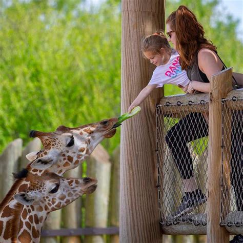 Things to Do – CaldwellZoo