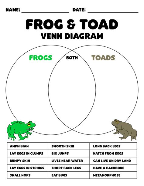 Frog Vs Toad For Kids