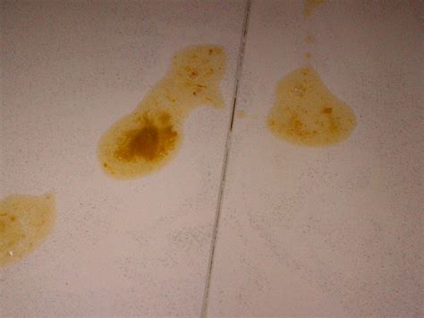 Why Does My Dog Have Yellow Diarrhea