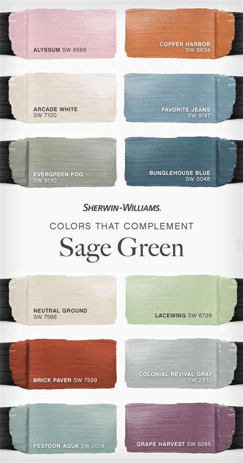 Sage Green Complementary Color Palette | House color palettes, Paint ...