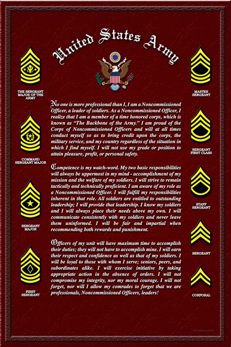 Creed of the Noncommissioned Officer | Non commissioned officer ...