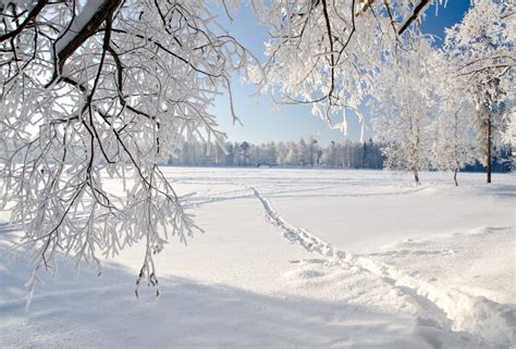 Florida May Soon Be Getting Its First Snow Park