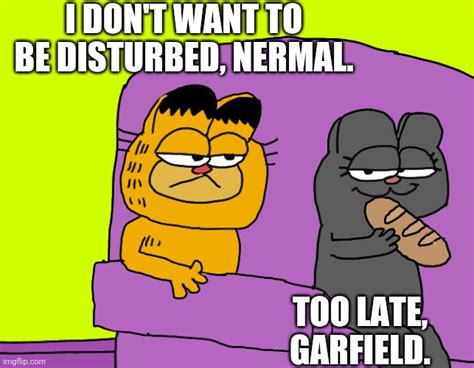 Nermal Disturbs Garfield - Imgflip