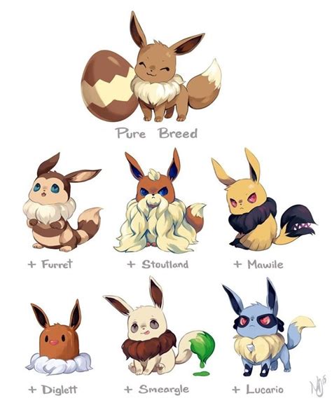 what pokemon can eevee breed with - vlchek-mezquita