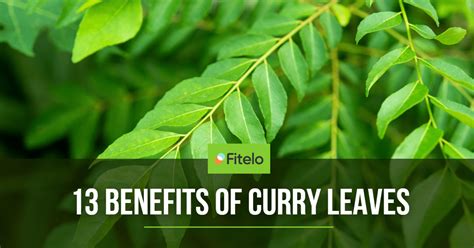 Curry Leaves Benefits For Health And How To Grow It At Home