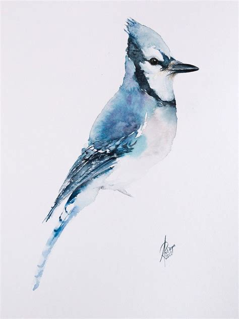 Blue Jay (2021) Watercolour by Andrzej Rabiega | Blue jay, Blue jay art, Bird artwork