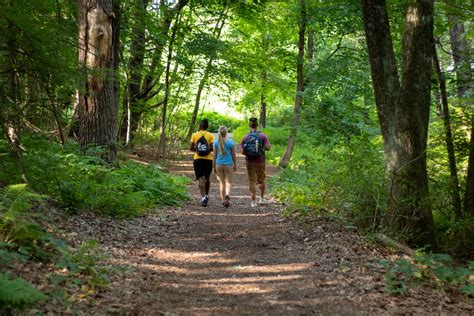 Walking & Hiking