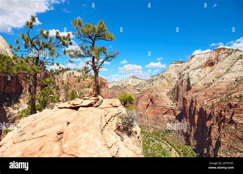 Zion National Park scenery, Utah, USA Stock Photo - Alamy