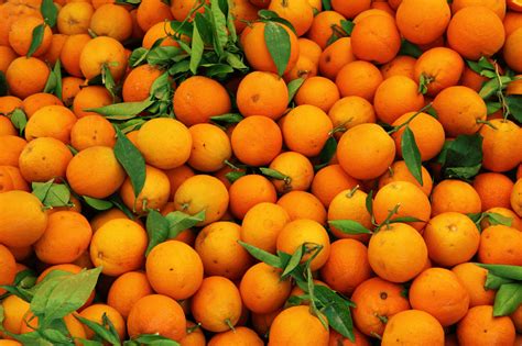 Orange Fruit Pattern Free Stock Photo - Public Domain Pictures