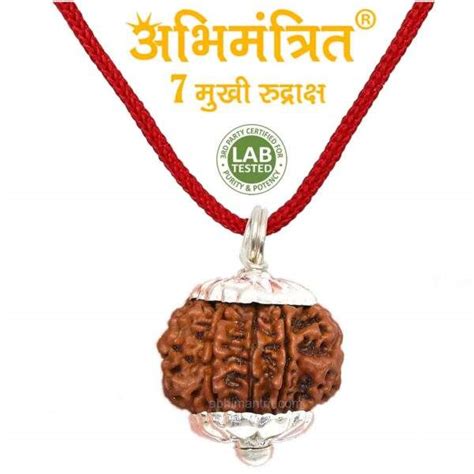 Original 7 Mukhi Rudraksha @ Best Price Abhimantrit®