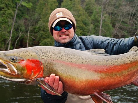 Michigan Steelhead Fishing | Muskegon River Steelhead Guides | Great ...