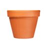 Ceramic Flower Pots in Achimota for sale Prices on Jiji.com.gh