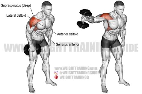 Standing Dumbbell Side Laterals